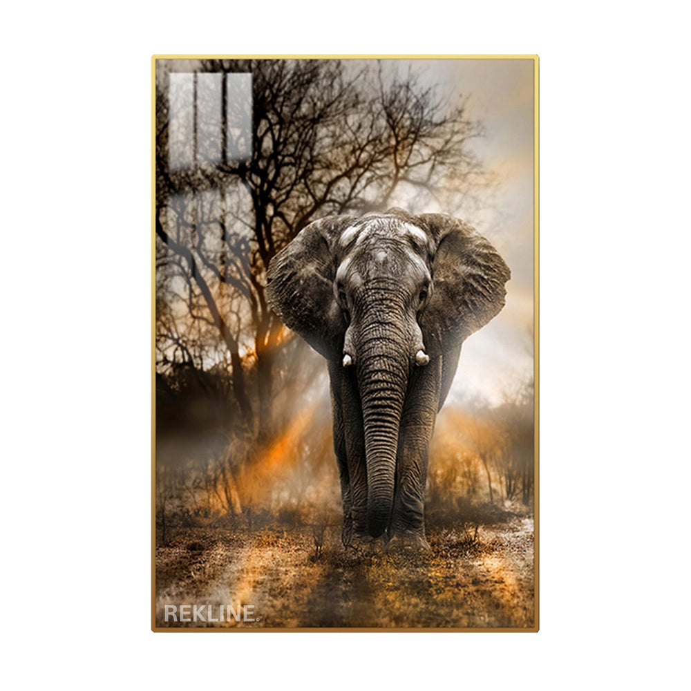 A majestic elephant walking toward the viewer at sunrise, printed on a canvas with LED backlighting in a gold frame