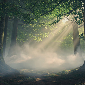 Native American Portrait LED Canvas | Colourful Feather-Headdress in Gold/Black Alloy Frame, Remote & Plug | 100 × 150 cm | By REKLINE
